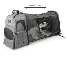 Load image into Gallery viewer, AFS ALL FOR PAWS Expandable Backpack Carrier
