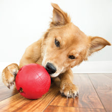 Load image into Gallery viewer, KONG BISCUIT BALL