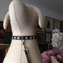 Load image into Gallery viewer, Collar Brilliance - Stars
