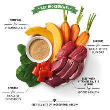 Load image into Gallery viewer, Lily’s Kitchen Beef Goulash (400g)