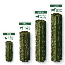 Load image into Gallery viewer, Woofbrush Dental Chew