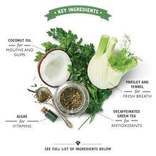 Load image into Gallery viewer, Woofbrush Dental Chew