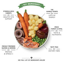 Load image into Gallery viewer, Lily’s Kitchen Fishy Fish Pie with Peas (400g)