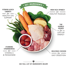 Load image into Gallery viewer, Lily’s Kitchen An English Garden Party (400g)