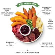 Load image into Gallery viewer, Lily’s Kitchen Lamb Hotpot (150g)