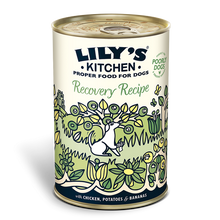 Load image into Gallery viewer, Lily’s Kitchen Recovery Recipe (400g)