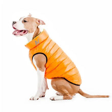 Load image into Gallery viewer, WAUDOG AIRY VEST World's Lightest Warm Jacket For Dogs