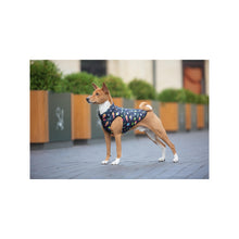 Load image into Gallery viewer, WAUDOG Clothes dog jacket, "Rick and Morty 2" cartoon