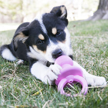 Load image into Gallery viewer, KONG PUPPY BINKIE