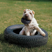 Load image into Gallery viewer, KONG EXTREME TIRES
