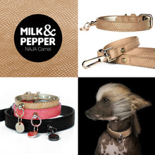 Load image into Gallery viewer, SALE MILK & PEPPER Dog leash NAJA black crocodile look