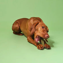 Load image into Gallery viewer, POOCH AND MUTT SUPERFOOD DENTAL STICKS FOR DOGS