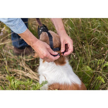 Load image into Gallery viewer, TRIXIE Muzzle Flex, Rubber