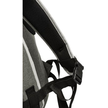 Load image into Gallery viewer, Dog/Cat Dan backpack 36 x 44 x 26 cm Max Load up to 6kg Grey or Blue