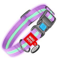 Load image into Gallery viewer, WAUDOG Nylon Reflective Dog Collar plus lead