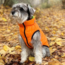 Load image into Gallery viewer, WAUDOG World's Lightest Warm Jacket For Dogs