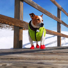 Load image into Gallery viewer, WAUDOG World's Lightest Warm Jacket For Dogs