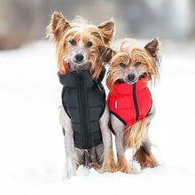 Load image into Gallery viewer, WAUDOG AIRY VEST World's Lightest Warm Jacket For Dogs
