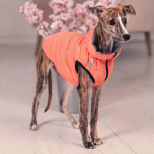 Load image into Gallery viewer, WAUDOG AIRY VEST World's Lightest Warm Jacket For Dogs