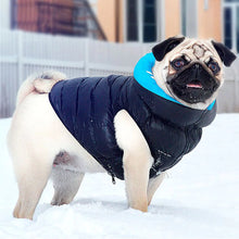 Load image into Gallery viewer, WAUDOG AIRY VEST World's Lightest Warm Jacket For Dogs