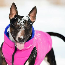 Load image into Gallery viewer, WAUDOG AIRY VEST World's Lightest Warm Jacket For Dogs