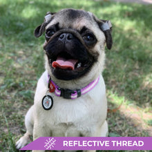 Load image into Gallery viewer, WAUDOG Nylon Reflective Dog Collar plus lead