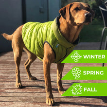 Load image into Gallery viewer, WAUDOG World's Lightest Warm Jacket For Dogs