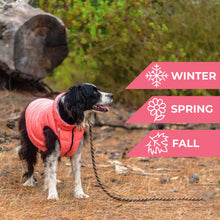 Load image into Gallery viewer, WAUDOG AIRY VEST World's Lightest Warm Jacket For Dogs