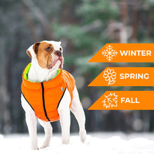 Load image into Gallery viewer, WAUDOG World's Lightest Warm Jacket For Dogs