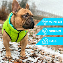 Load image into Gallery viewer, WAUDOG AIRY VEST World's Lightest Warm Jacket For Dogs