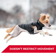 Load image into Gallery viewer, WAUDOG AIRY VEST World's Lightest Warm Jacket For Dogs