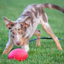 Load image into Gallery viewer, LIKER Extremely Durable And Safe Football Dog Toy
