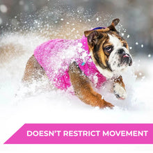 Load image into Gallery viewer, WAUDOG AIRY VEST World's Lightest Warm Jacket For Dogs