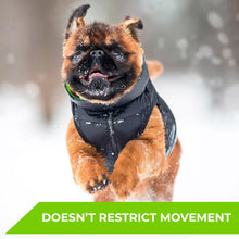 Load image into Gallery viewer, WAUDOG World's Lightest Warm Jacket For Dogs