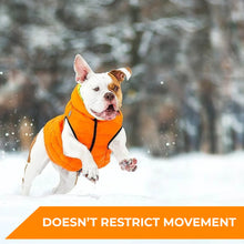 Load image into Gallery viewer, WAUDOG World's Lightest Warm Jacket For Dogs