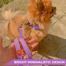 Load image into Gallery viewer, WAUDOG Nylon Reflective Dog Collar plus lead