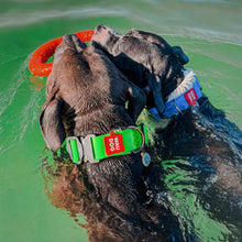 Load image into Gallery viewer, WAUDOG Ultra-Modern Waterproof Dog Collar With Metal Clasp