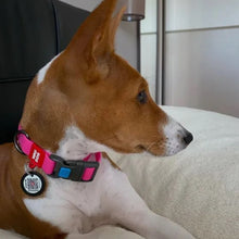 Load image into Gallery viewer, WAUDOG Ultra-Modern Waterproof Dog Collar With Plastic Buckle