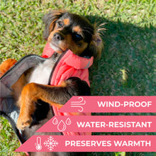 Load image into Gallery viewer, WAUDOG AIRY VEST World's Lightest Warm Jacket For Dogs