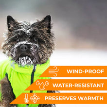 Load image into Gallery viewer, WAUDOG World's Lightest Warm Jacket For Dogs