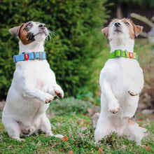 Load image into Gallery viewer, WAUDOG Ultra-Modern Waterproof Dog Collar With Metal Clasp