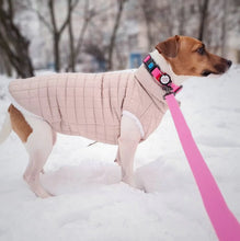 Load image into Gallery viewer, WAUDOG Ultra-Modern Waterproof Dog Collar With Plastic Buckle