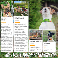 Load image into Gallery viewer, WAUDOG Ultra-Modern Waterproof Dog Collar With Metal Clasp