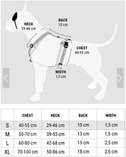 Load image into Gallery viewer, MORSO POWER FLOW Norwegian Harness