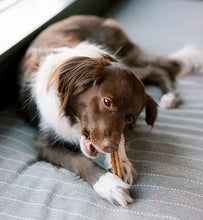 Load image into Gallery viewer, WHIMZEES STIX ALL NATURAL DAILY DENTAL TREAT FOR DOGS