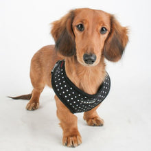 Load image into Gallery viewer, SALE PUPPIA DOTTY HARNESS A including FREE Matching Lead