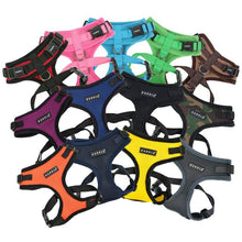 Load image into Gallery viewer, PUPPIA RITEFIT® HARNESS