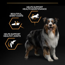 Load image into Gallery viewer, PURINA PRO PLAN Medium Adult Everyday Nutrition