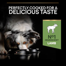 Load image into Gallery viewer, PURINA PRO PLAN Medium Adult Lamb & Rice Sensitive Digestion