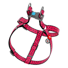 Load image into Gallery viewer, WAUDOG NYLON DOG HARNESS WITH QR PASSPORT, "WATERMELON